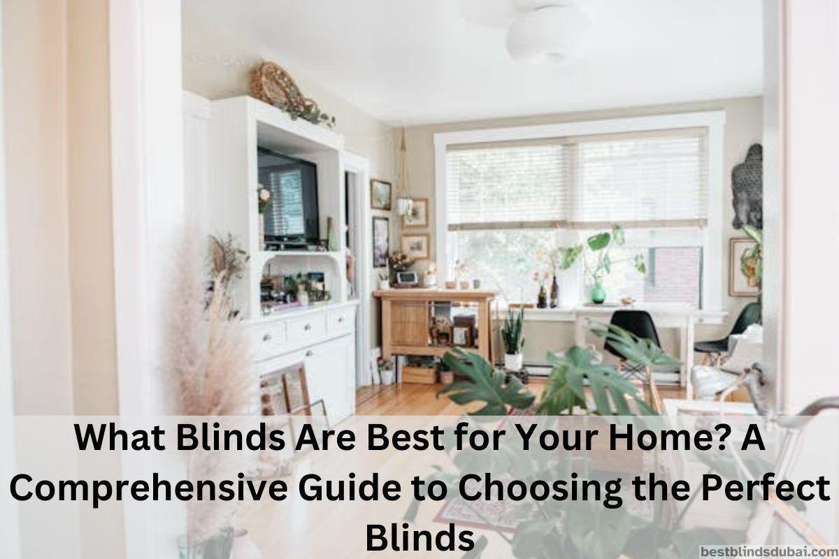 You are currently viewing What Blinds Are Best for Your Home?A Comprehensive Guide to Choosing the Perfect Blinds